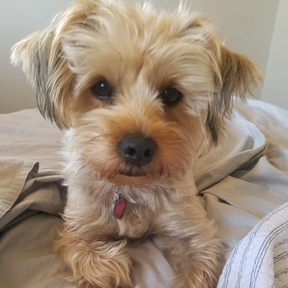 Meet your Posher, Kassandra